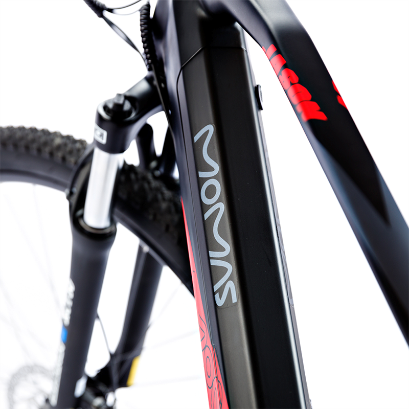 Momas Jason+ | Vélo électrique | E-Wheels®