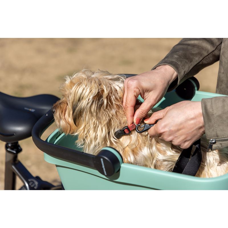 Newlooxs Clipper - Pack pour animaux